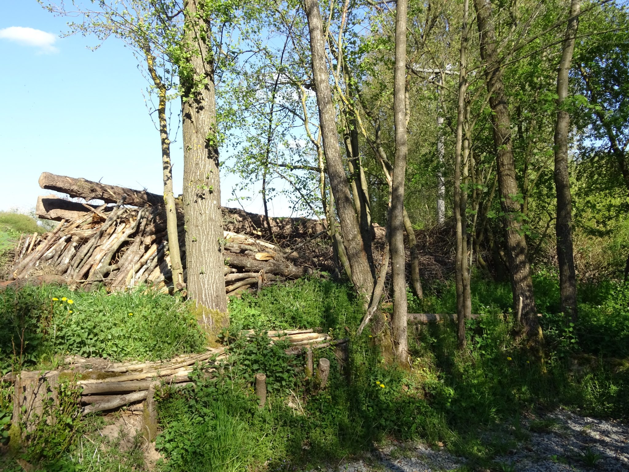Ur - Bereich naturbelassen – keine „DIN Normen“ vorhanden