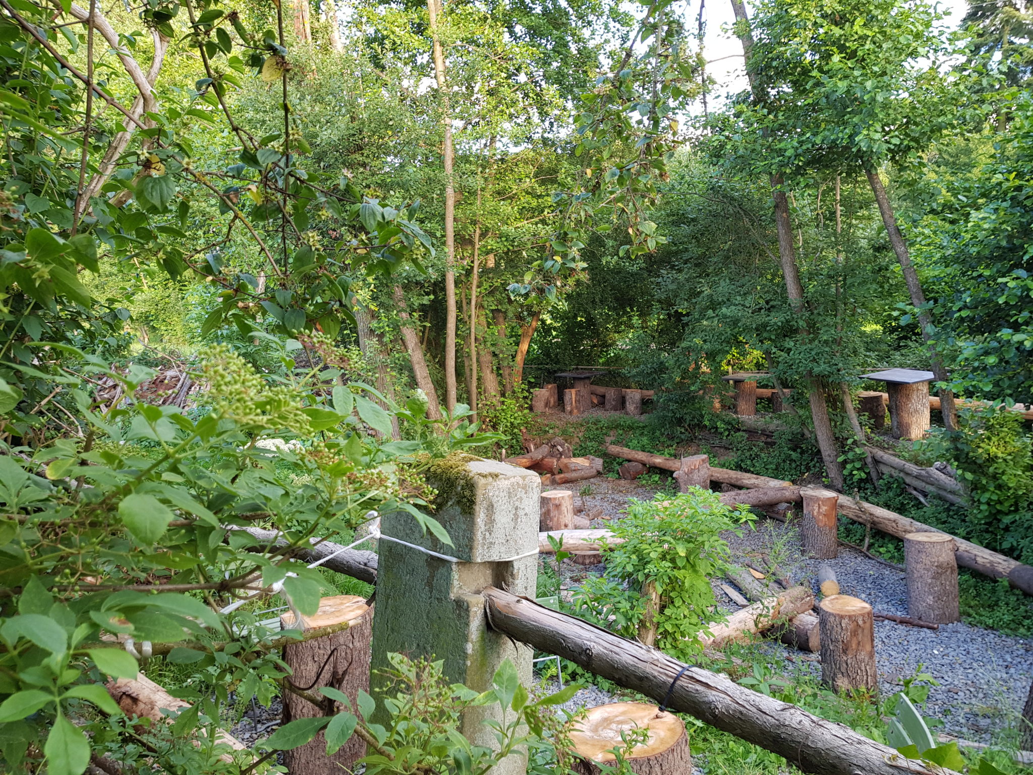 Ur - Bereich naturbelassen