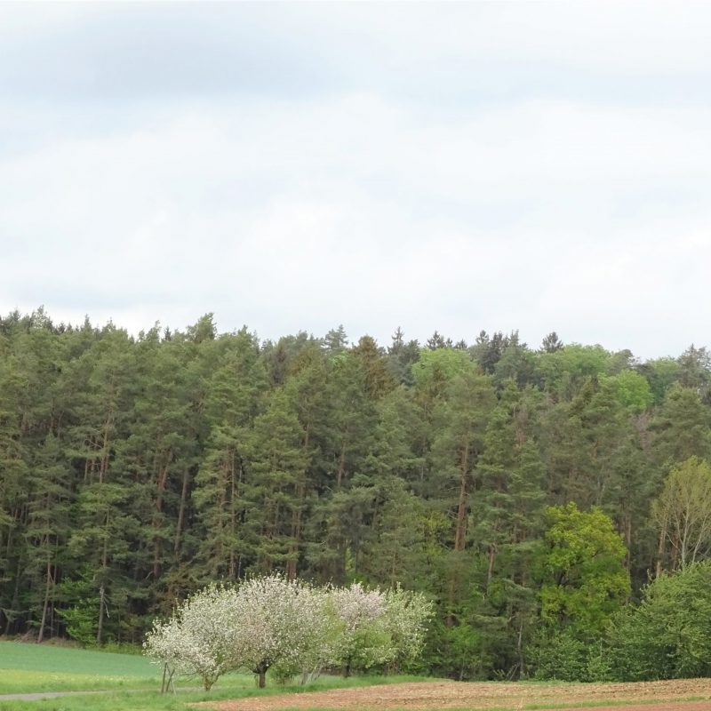 Blick vom "Riesenpavillion" in die Natur